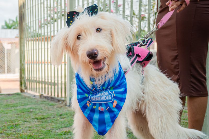  <div class='credito_fotos'>Foto: Karla Reis &nbsp;&nbsp;|&nbsp;&nbsp; <a href='/midias/2024/originais/8022_82299f65-bf79-b26e-70a0-88aa64f71c97.jpg' download><i class='fa-solid fa-download'></i> Download</a></div>