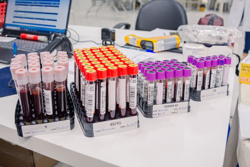  <div class='credito_fotos'>Foto: Karla Reis &nbsp;&nbsp;|&nbsp;&nbsp; <a href='/midias/2024/originais/8024_281981af-764f-abbf-fc27-5a921563533e.jpg' download><i class='fa-solid fa-download'></i> Download</a></div>