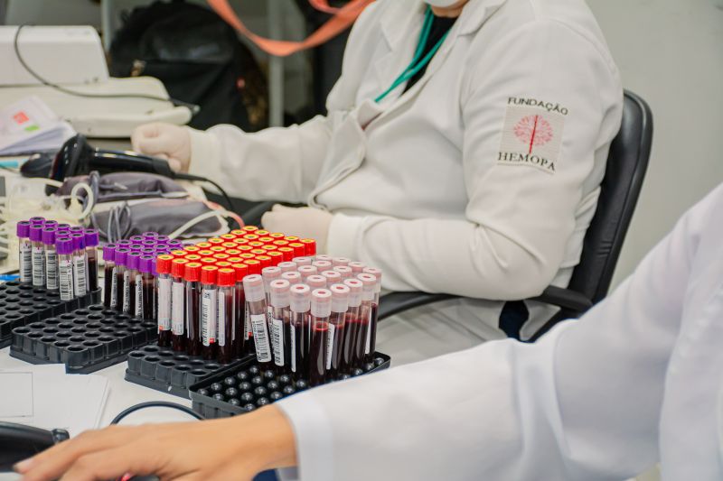  <div class='credito_fotos'>Foto: Karla Reis &nbsp;&nbsp;|&nbsp;&nbsp; <a href='/midias/2024/originais/8024_2861f5c7-b542-8f9a-4074-e5eaa8db0f5f.jpg' download><i class='fa-solid fa-download'></i> Download</a></div>