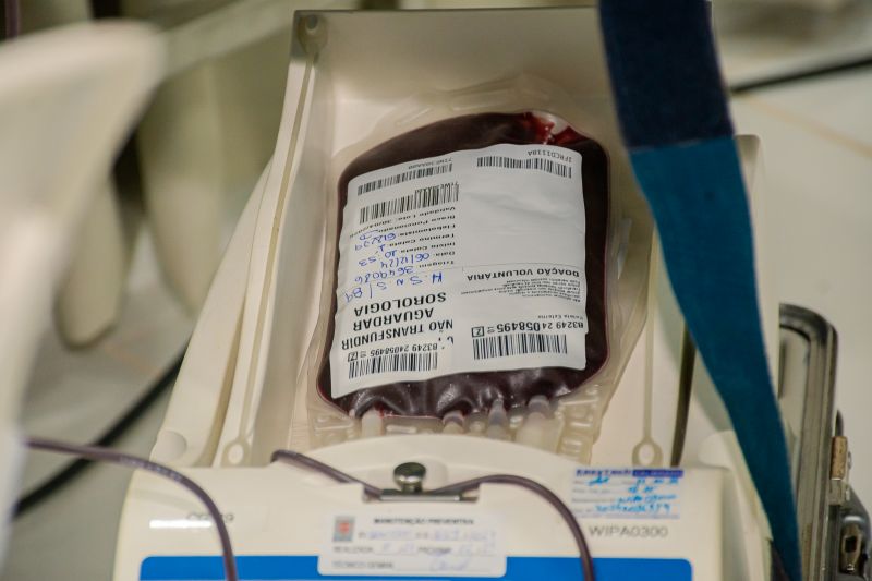  <div class='credito_fotos'>Foto: Karla Reis &nbsp;&nbsp;|&nbsp;&nbsp; <a href='/midias/2024/originais/8024_4278520b-34ac-39d6-7f91-560374d92627.jpg' download><i class='fa-solid fa-download'></i> Download</a></div>