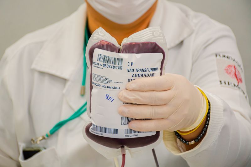  <div class='credito_fotos'>Foto: Karla Reis &nbsp;&nbsp;|&nbsp;&nbsp; <a href='/midias/2024/originais/8024_47ff8b22-f2e8-5d21-e4fc-64b0ada980e9.jpg' download><i class='fa-solid fa-download'></i> Download</a></div>