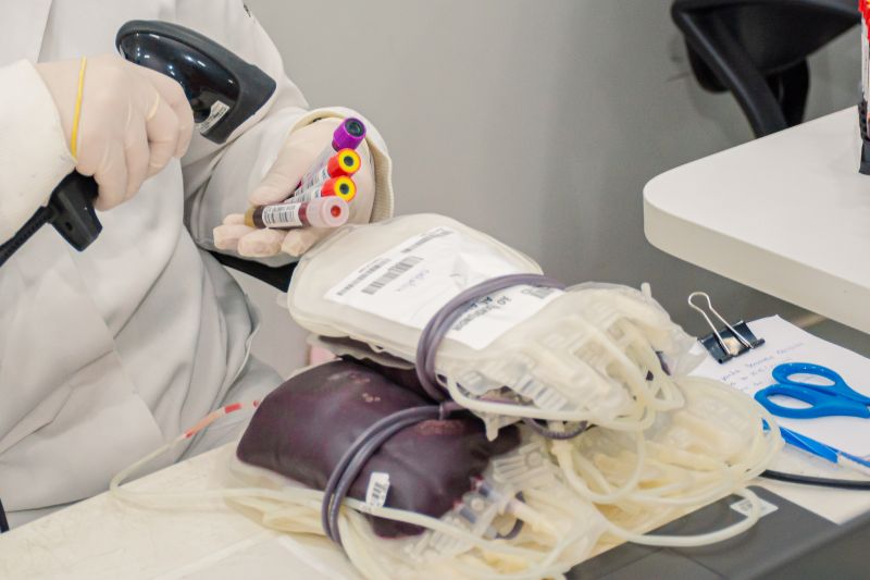  <div class='credito_fotos'>Foto: Karla Reis &nbsp;&nbsp;|&nbsp;&nbsp; <a href='/midias/2024/originais/8024_859c162f-7ed4-23fd-fdab-15d3625fd51d.jpg' download><i class='fa-solid fa-download'></i> Download</a></div>