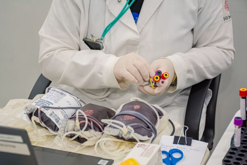  <div class='credito_fotos'>Foto: Karla Reis &nbsp;&nbsp;|&nbsp;&nbsp; <a href='/midias/2024/originais/8024_b62dfe08-150f-6367-9bcd-0f27b2bfa076.jpg' download><i class='fa-solid fa-download'></i> Download</a></div>