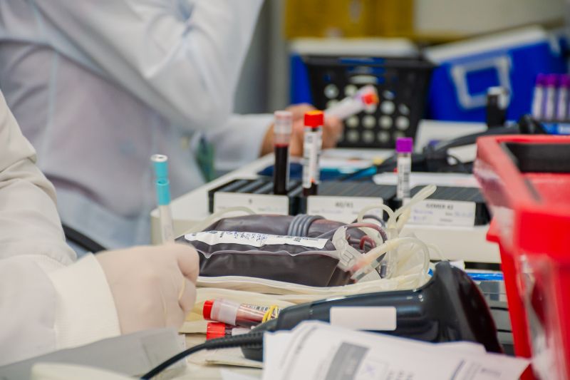  <div class='credito_fotos'>Foto: Karla Reis &nbsp;&nbsp;|&nbsp;&nbsp; <a href='/midias/2024/originais/8024_c5c57939-7e66-6e8b-0d61-a66d4e37176a.jpg' download><i class='fa-solid fa-download'></i> Download</a></div>