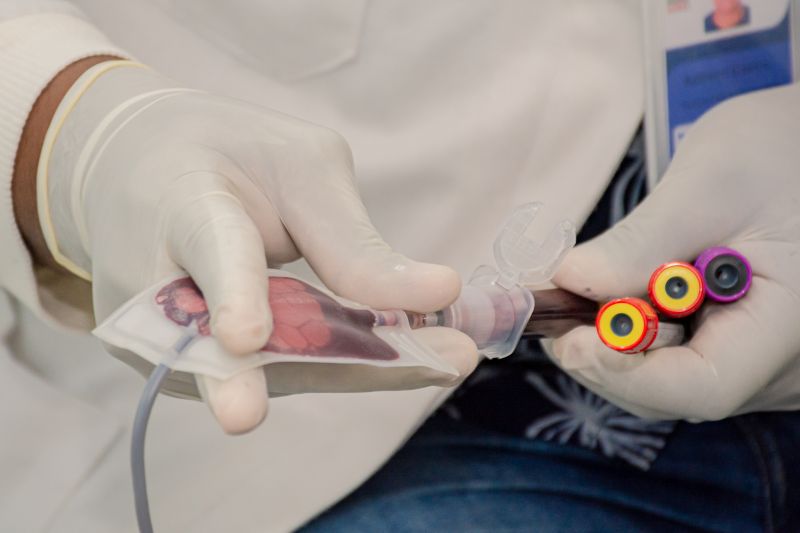  <div class='credito_fotos'>Foto: Karla Reis &nbsp;&nbsp;|&nbsp;&nbsp; <a href='/midias/2024/originais/8024_e3c3c9f5-7812-2c63-7063-5f71650e3e7f.jpg' download><i class='fa-solid fa-download'></i> Download</a></div>