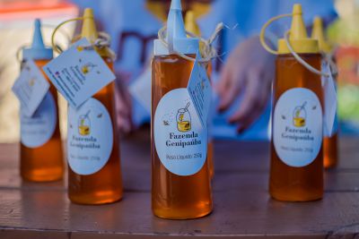 galeria: LANÇAMENTO DO MEL DE BENEVIDES