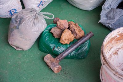 galeria: OFICINA DE MANEJO DO SOLO E BIOINSUMOS