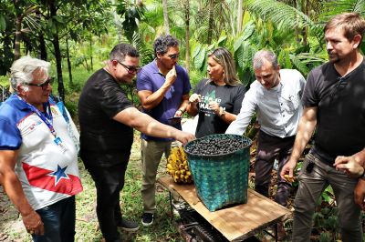 notícia: Técnicos do Banco Mundial visitam Benevides para conhecer políticas de apoio à agricultura familiar