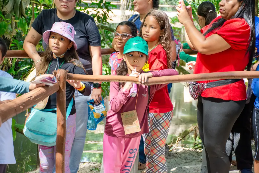  <div class='credito_fotos'>Foto: Karla Reis &nbsp;&nbsp;|&nbsp;&nbsp; <a href='/midias/2025/originais/20251104224215-GF00009205-F00106594.webp' download><i class='fa-solid fa-download'></i> Download</a></div>