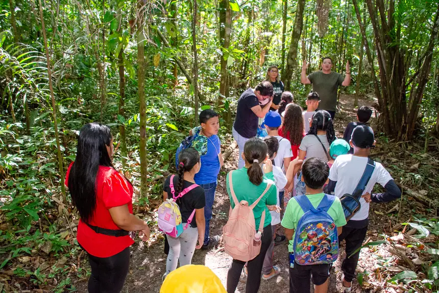  <div class='credito_fotos'>Foto: Karla Reis &nbsp;&nbsp;|&nbsp;&nbsp; <a href='/midias/2025/originais/20251104224219-GF00009205-F00106597.webp' download><i class='fa-solid fa-download'></i> Download</a></div>