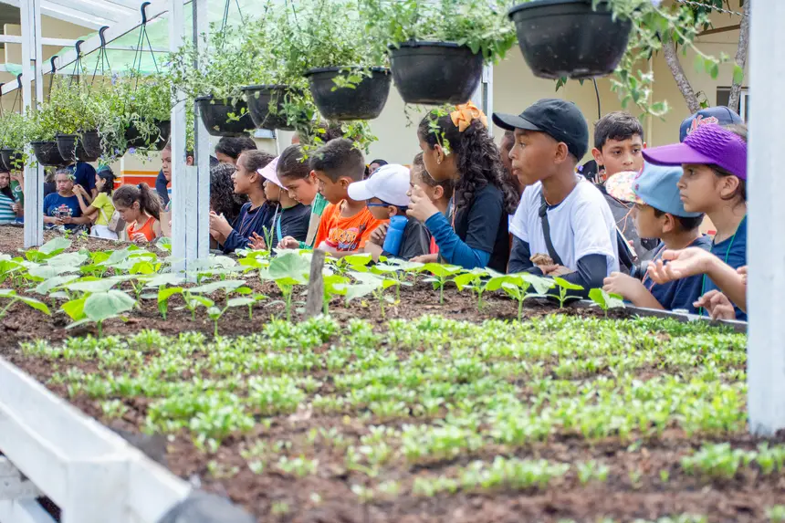  <div class='credito_fotos'>Foto: Karla Reis &nbsp;&nbsp;|&nbsp;&nbsp; <a href='/midias/2025/originais/20251104224313-GF00009205-F00106635.webp' download><i class='fa-solid fa-download'></i> Download</a></div>