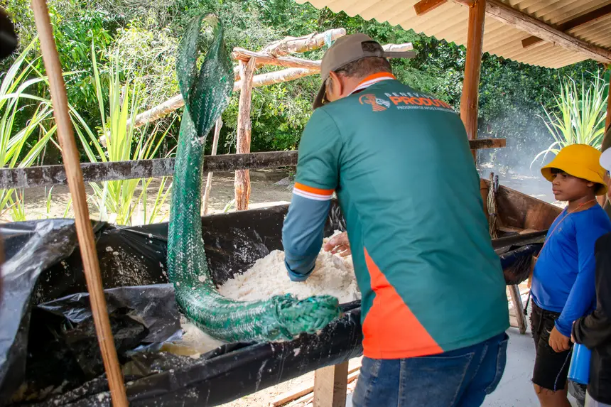  <div class='credito_fotos'>Foto: Karla Reis &nbsp;&nbsp;|&nbsp;&nbsp; <a href='/midias/2025/originais/20251104224336-GF00009205-F00106651.webp' download><i class='fa-solid fa-download'></i> Download</a></div>