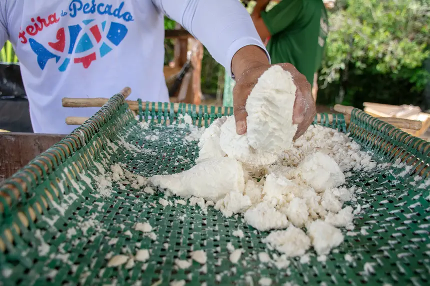  <div class='credito_fotos'>Foto: Karla Reis &nbsp;&nbsp;|&nbsp;&nbsp; <a href='/midias/2025/originais/20251104224349-GF00009205-F00106660.webp' download><i class='fa-solid fa-download'></i> Download</a></div>