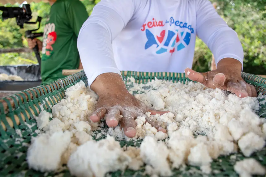  <div class='credito_fotos'>Foto: Karla Reis &nbsp;&nbsp;|&nbsp;&nbsp; <a href='/midias/2025/originais/20251104224350-GF00009205-F00106661.webp' download><i class='fa-solid fa-download'></i> Download</a></div>