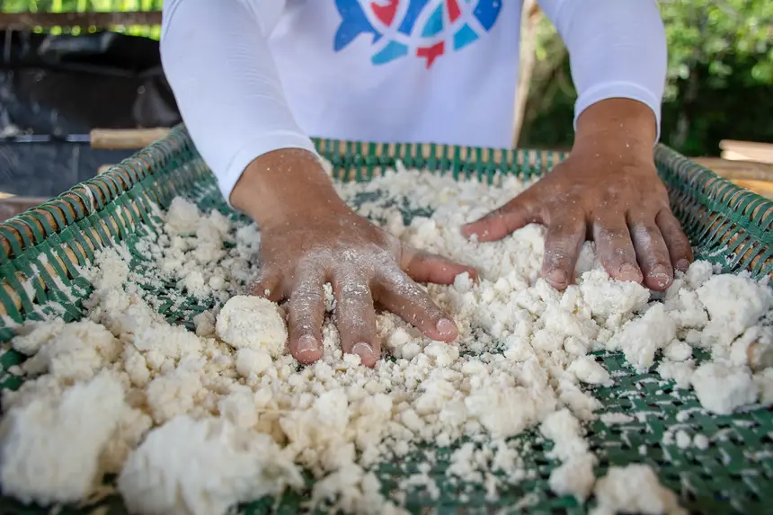  <div class='credito_fotos'>Foto: Karla Reis &nbsp;&nbsp;|&nbsp;&nbsp; <a href='/midias/2025/originais/20251104224352-GF00009205-F00106662.webp' download><i class='fa-solid fa-download'></i> Download</a></div>