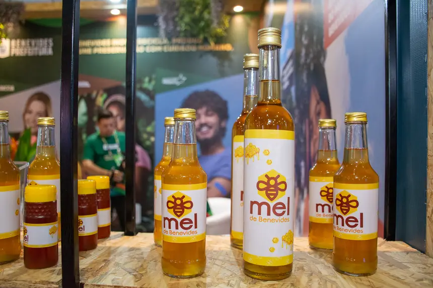  <div class='credito_fotos'>Foto: Karla Reis &nbsp;&nbsp;|&nbsp;&nbsp; <a href='/midias/2025/originais/20251119101838-GF00009215-F00107112.webp' download><i class='fa-solid fa-download'></i> Download</a></div>