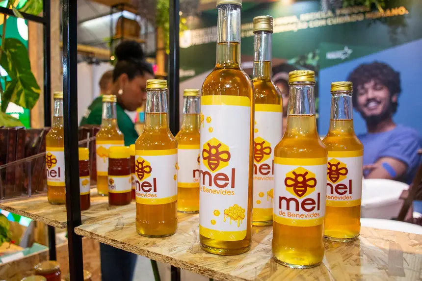  <div class='credito_fotos'>Foto: Karla Reis &nbsp;&nbsp;|&nbsp;&nbsp; <a href='/midias/2025/originais/20251119101938-GF00009215-F00107157.webp' download><i class='fa-solid fa-download'></i> Download</a></div>