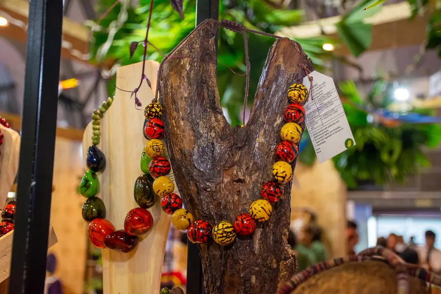  <div class='credito_fotos'>Foto: Karla Reis &nbsp;&nbsp;|&nbsp;&nbsp; <a href='/midias/2025/originais/20251119102101-GF00009215-F00107220.webp' download><i class='fa-solid fa-download'></i> Download</a></div>