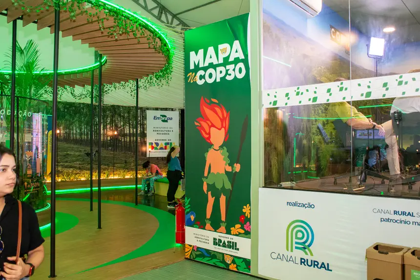  <div class='credito_fotos'>Foto: Karla Reis &nbsp;&nbsp;|&nbsp;&nbsp; <a href='/midias/2025/originais/20251121004305-GF00009216-F00107270.webp' download><i class='fa-solid fa-download'></i> Download</a></div>