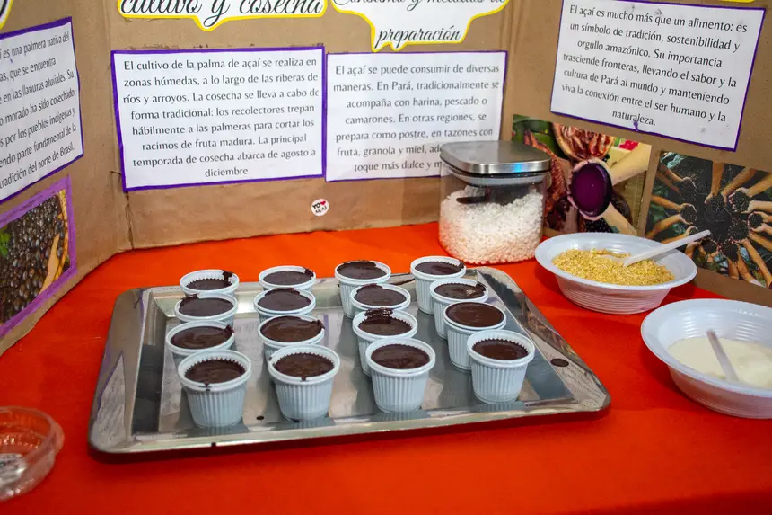  <div class='credito_fotos'>Foto: Karla Reis &nbsp;&nbsp;|&nbsp;&nbsp; <a href='/midias/2025/originais/20251128094903-GF00009220-F00107453.webp' download><i class='fa-solid fa-download'></i> Download</a></div>