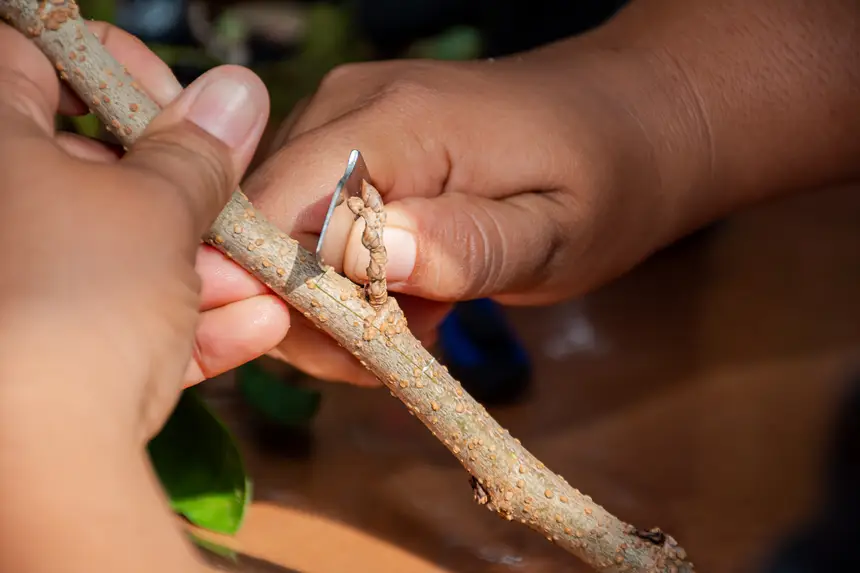  <div class='credito_fotos'>Foto:  &nbsp;&nbsp;|&nbsp;&nbsp; <a href='/midias/2025/originais/20251205144108-GF00009230-F00107723.webp' download><i class='fa-solid fa-download'></i> Download</a></div>