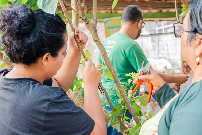  <div class='credito_fotos'>Foto:  &nbsp;&nbsp;|&nbsp;&nbsp; <a href='/midias/2025/originais/20251205144115-GF00009230-F00107729.webp' download><i class='fa-solid fa-download'></i> Download</a></div>