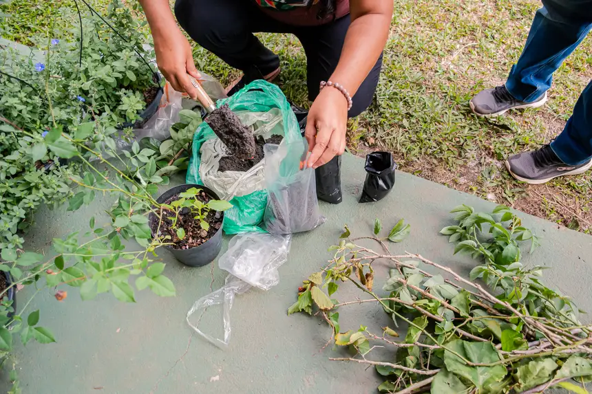  <div class='credito_fotos'>Foto:  &nbsp;&nbsp;|&nbsp;&nbsp; <a href='/midias/2025/originais/20251205144124-GF00009230-F00107736.webp' download><i class='fa-solid fa-download'></i> Download</a></div>