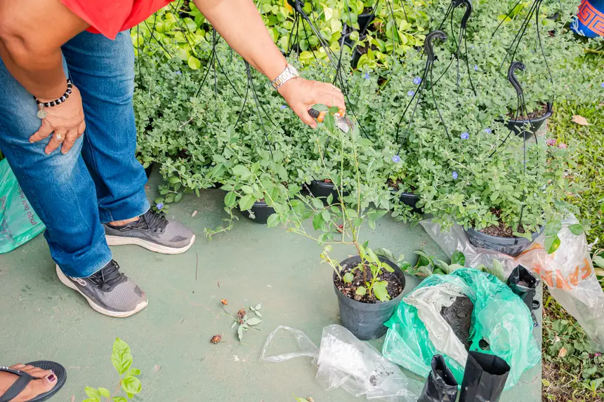  <div class='credito_fotos'>Foto:  &nbsp;&nbsp;|&nbsp;&nbsp; <a href='/midias/2025/originais/20251205144130-GF00009230-F00107740.webp' download><i class='fa-solid fa-download'></i> Download</a></div>