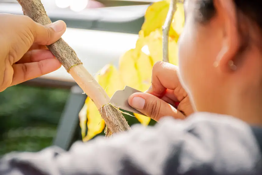  <div class='credito_fotos'>Foto:  &nbsp;&nbsp;|&nbsp;&nbsp; <a href='/midias/2025/originais/20251205144139-GF00009230-F00107747.webp' download><i class='fa-solid fa-download'></i> Download</a></div>