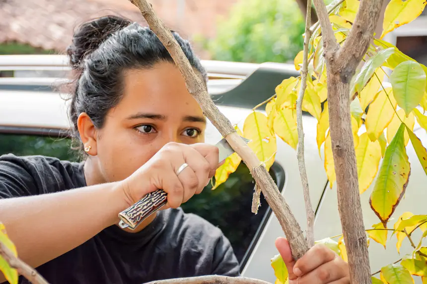  <div class='credito_fotos'>Foto:  &nbsp;&nbsp;|&nbsp;&nbsp; <a href='/midias/2025/originais/20251205144142-GF00009230-F00107749.webp' download><i class='fa-solid fa-download'></i> Download</a></div>