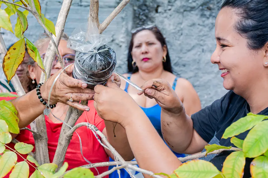  <div class='credito_fotos'>Foto:  &nbsp;&nbsp;|&nbsp;&nbsp; <a href='/midias/2025/originais/20251205144158-GF00009230-F00107761.webp' download><i class='fa-solid fa-download'></i> Download</a></div>