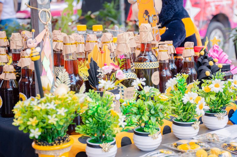  <div class='credito_fotos'>Foto: Karla Reis &nbsp;&nbsp;|&nbsp;&nbsp; <a href='/midias/2025/originais/8035_b5fc4156-0eb6-0fa5-972c-144043877a5b.jpg' download><i class='fa-solid fa-download'></i> Download</a></div>