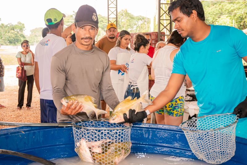  <div class='credito_fotos'>Foto: Karla Reis &nbsp;&nbsp;|&nbsp;&nbsp; <a href='/midias/2025/originais/8039_45675eb9-1fbb-7cd3-cb6a-d3499577fb6a.jpg' download><i class='fa-solid fa-download'></i> Download</a></div>