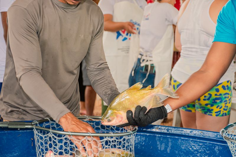  <div class='credito_fotos'>Foto: Karla Reis &nbsp;&nbsp;|&nbsp;&nbsp; <a href='/midias/2025/originais/8039_53edebb8-b746-c561-e607-b17abc85d86f.jpg' download><i class='fa-solid fa-download'></i> Download</a></div>