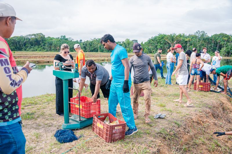  <div class='credito_fotos'>Foto: Karla Reis &nbsp;&nbsp;|&nbsp;&nbsp; <a href='/midias/2025/originais/8039_62f7e45d-1c9a-7574-fbd5-2618c95d2fed.jpg' download><i class='fa-solid fa-download'></i> Download</a></div>