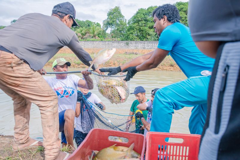  <div class='credito_fotos'>Foto: Karla Reis &nbsp;&nbsp;|&nbsp;&nbsp; <a href='/midias/2025/originais/8039_659a8022-0bb9-c1cc-8aa6-d8b8dd893db4.jpg' download><i class='fa-solid fa-download'></i> Download</a></div>