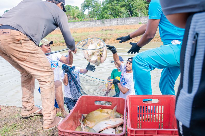  <div class='credito_fotos'>Foto: Karla Reis &nbsp;&nbsp;|&nbsp;&nbsp; <a href='/midias/2025/originais/8039_6ce3fffe-da69-8d53-bf43-0df6de62cbe5.jpg' download><i class='fa-solid fa-download'></i> Download</a></div>