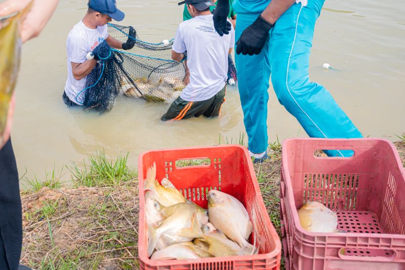  <div class='credito_fotos'>Foto: Karla Reis &nbsp;&nbsp;|&nbsp;&nbsp; <a href='/midias/2025/originais/8039_99b14a22-d8b9-6f30-f042-cd94be522b4e.jpg' download><i class='fa-solid fa-download'></i> Download</a></div>