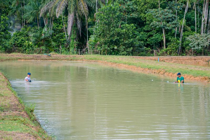  <div class='credito_fotos'>Foto: Karla Reis &nbsp;&nbsp;|&nbsp;&nbsp; <a href='/midias/2025/originais/8039_aad93846-de8f-5b3e-9d93-736c646b44d5.jpg' download><i class='fa-solid fa-download'></i> Download</a></div>