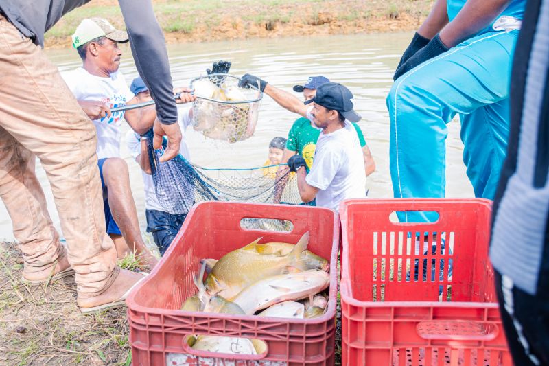  <div class='credito_fotos'>Foto: Karla Reis &nbsp;&nbsp;|&nbsp;&nbsp; <a href='/midias/2025/originais/8039_b2ba6176-b1b0-a853-1874-0ffd9545a2f3.jpg' download><i class='fa-solid fa-download'></i> Download</a></div>