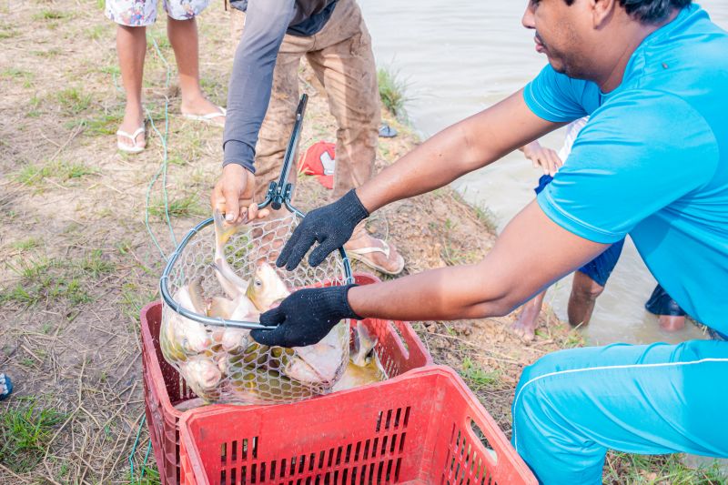  <div class='credito_fotos'>Foto: Karla Reis &nbsp;&nbsp;|&nbsp;&nbsp; <a href='/midias/2025/originais/8039_bde97ffe-74fe-32f6-c1b4-7eb5cbb16b42.jpg' download><i class='fa-solid fa-download'></i> Download</a></div>