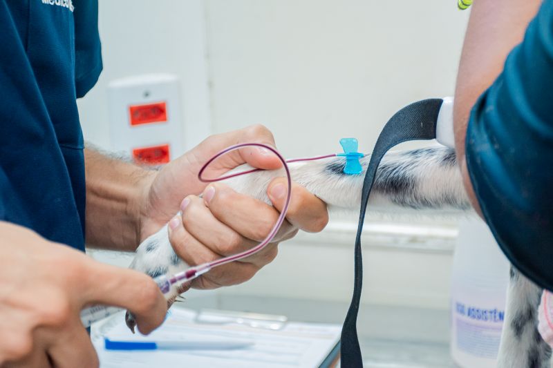  <div class='credito_fotos'>Foto: Karla Reis &nbsp;&nbsp;|&nbsp;&nbsp; <a href='/midias/2025/originais/8040_3997b1bc-81fe-96f0-2e80-c36807da1215.jpg' download><i class='fa-solid fa-download'></i> Download</a></div>