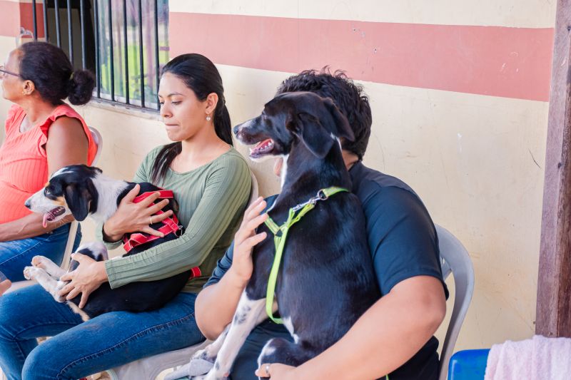  <div class='credito_fotos'>Foto: Karla Reis &nbsp;&nbsp;|&nbsp;&nbsp; <a href='/midias/2025/originais/8040_5e44357d-2781-0ed5-8742-a9da43b7199d.jpg' download><i class='fa-solid fa-download'></i> Download</a></div>