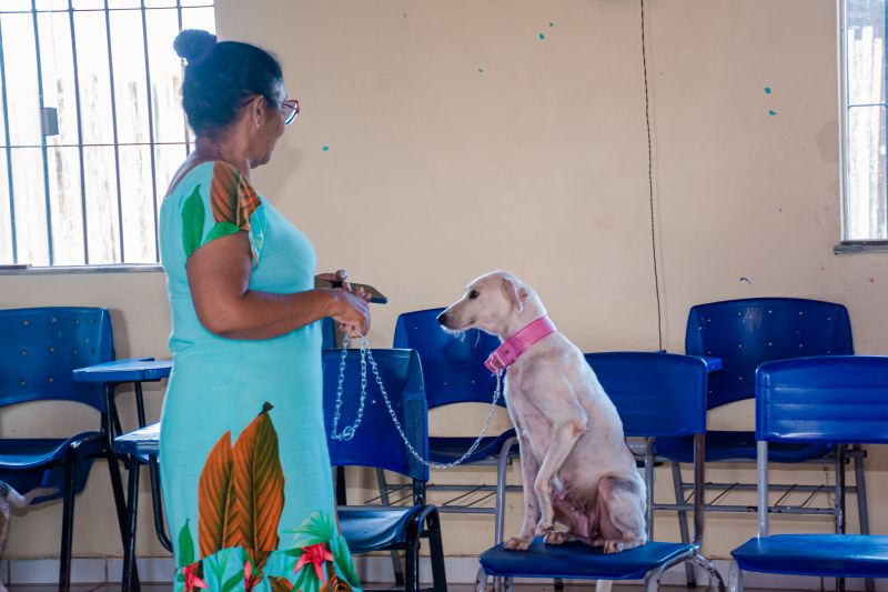  <div class='credito_fotos'>Foto: Karla Reis &nbsp;&nbsp;|&nbsp;&nbsp; <a href='/midias/2025/originais/8040_6f414bb5-0550-fe42-e519-98a60471f400.jpg' download><i class='fa-solid fa-download'></i> Download</a></div>