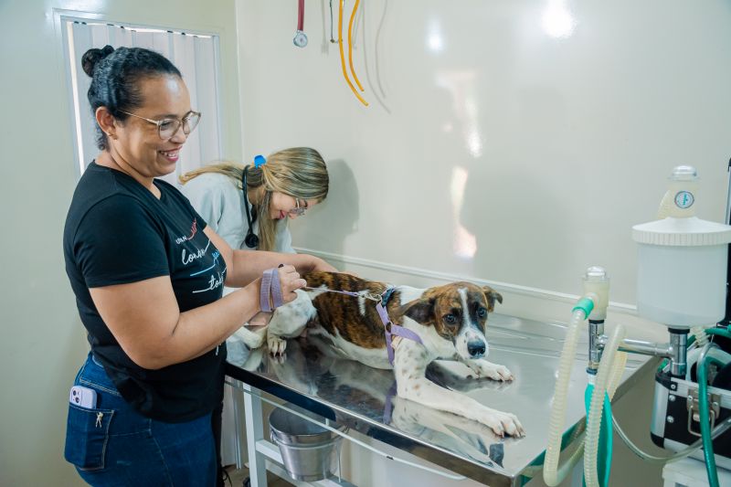  <div class='credito_fotos'>Foto: Karla Reis &nbsp;&nbsp;|&nbsp;&nbsp; <a href='/midias/2025/originais/8040_977c382d-b0a7-871f-0d9a-410983e6ea2c.jpg' download><i class='fa-solid fa-download'></i> Download</a></div>