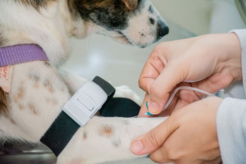  <div class='credito_fotos'>Foto: Karla Reis &nbsp;&nbsp;|&nbsp;&nbsp; <a href='/midias/2025/originais/8040_9cdee99a-74e8-5c3e-6edc-91f31356e300.jpg' download><i class='fa-solid fa-download'></i> Download</a></div>