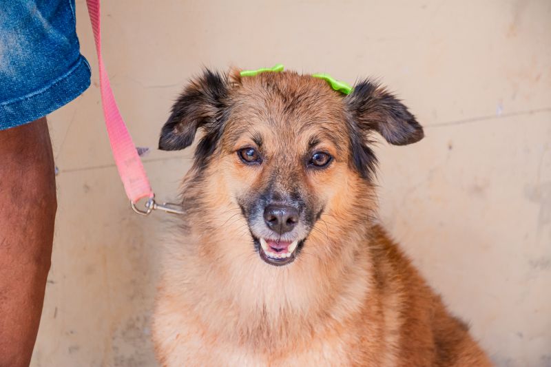  <div class='credito_fotos'>Foto: Karla Reis &nbsp;&nbsp;|&nbsp;&nbsp; <a href='/midias/2025/originais/8040_acac03e0-a28a-ff30-d25d-1882e0b2e365.jpg' download><i class='fa-solid fa-download'></i> Download</a></div>