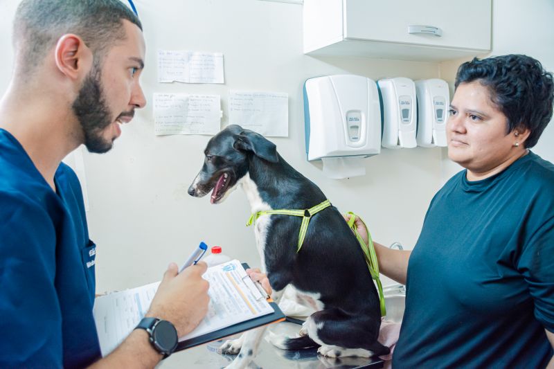  <div class='credito_fotos'>Foto: Karla Reis &nbsp;&nbsp;|&nbsp;&nbsp; <a href='/midias/2025/originais/8040_c90aa694-52bd-eb2a-ff0e-02bd022ca247.jpg' download><i class='fa-solid fa-download'></i> Download</a></div>