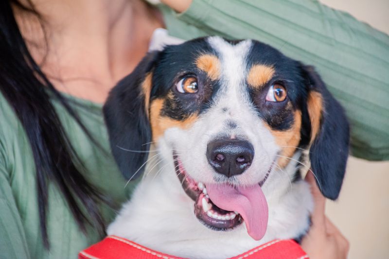  <div class='credito_fotos'>Foto: Karla Reis &nbsp;&nbsp;|&nbsp;&nbsp; <a href='/midias/2025/originais/8040_dd79ecc5-8f83-3fd9-eadc-1ae006d29b9a.jpg' download><i class='fa-solid fa-download'></i> Download</a></div>