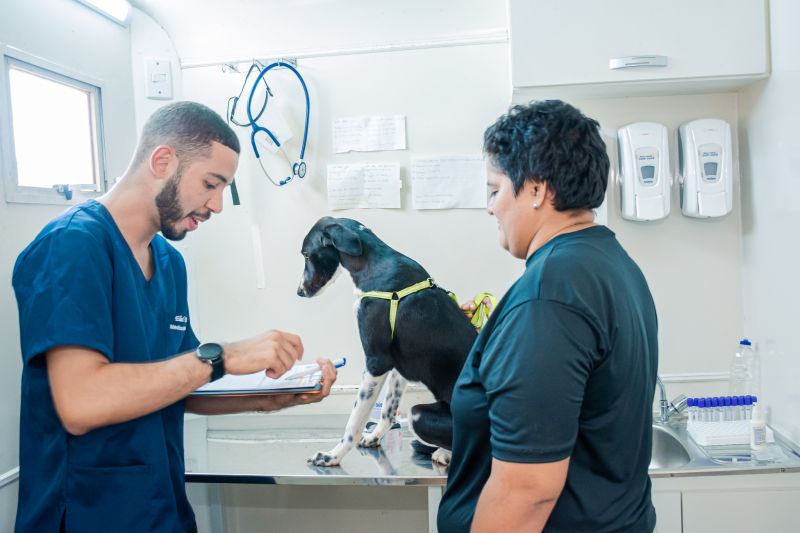  <div class='credito_fotos'>Foto: Karla Reis &nbsp;&nbsp;|&nbsp;&nbsp; <a href='/midias/2025/originais/8040_e92564dc-5de7-e22e-09d3-b25514c27468.jpg' download><i class='fa-solid fa-download'></i> Download</a></div>